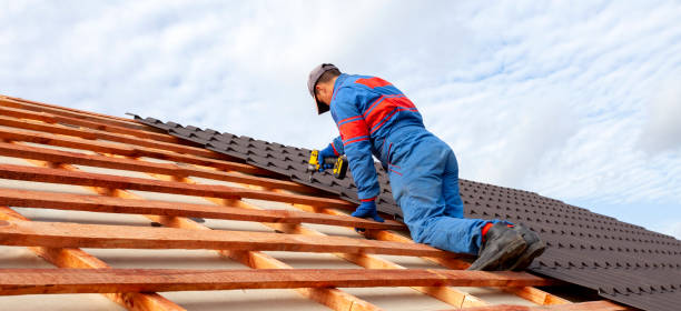 Best Roof Ventilation Installation  in Sherman, IL